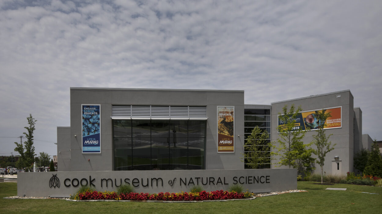 External photo of Cook Museum of Natural Sciences in Decatur, Alabama
