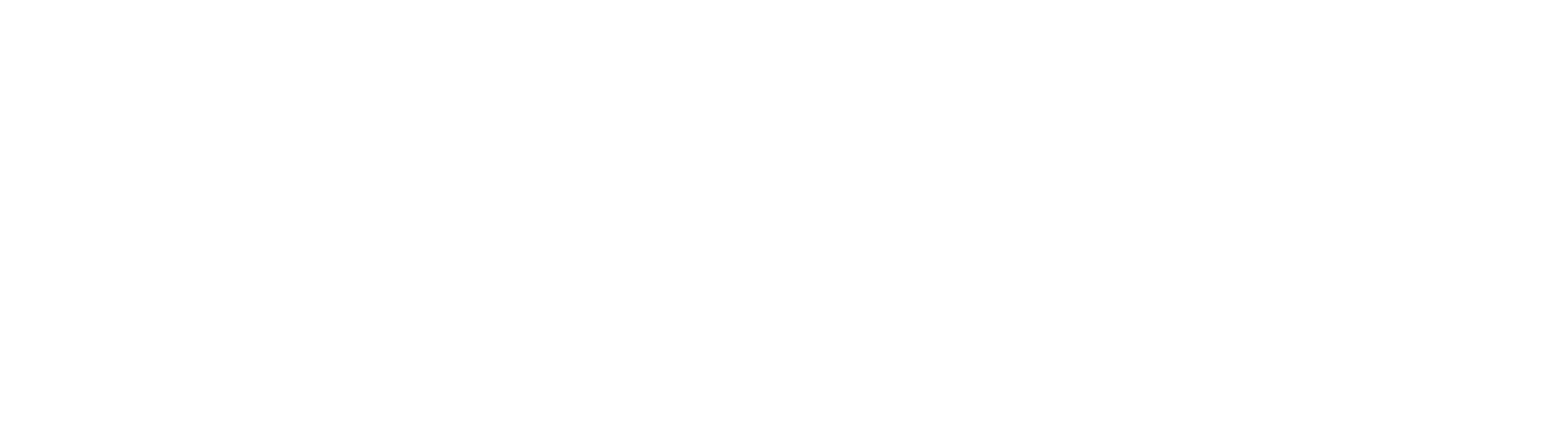 LBYD Federal logo in white