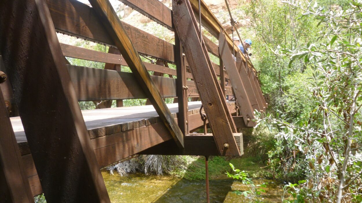 Photo of wood bridge at Calf Creek Campground