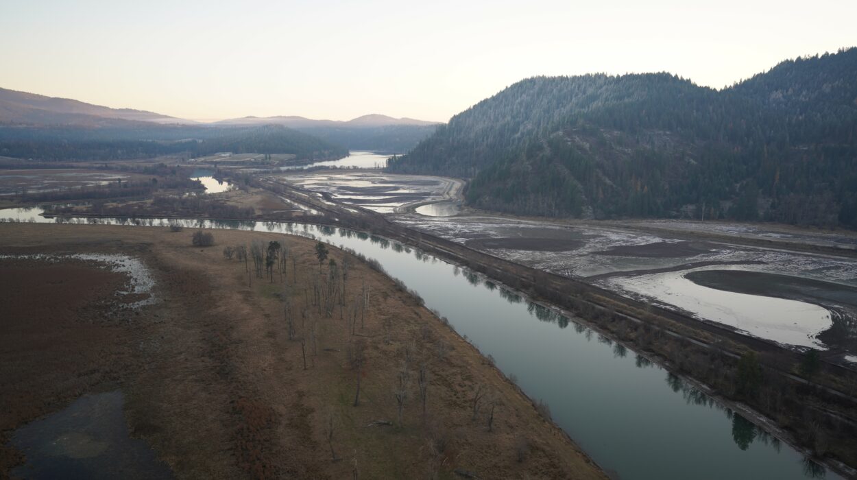 Grays Meadow Project in Kellogg, Idaho