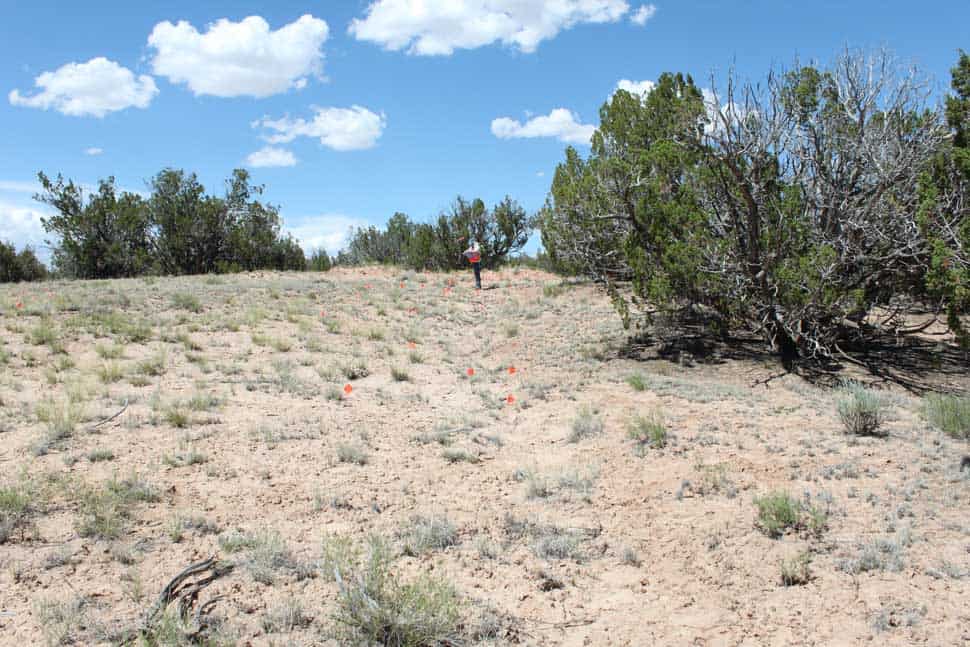 Photo of employee at Long H Ranch in Arizona completing a cultural survey